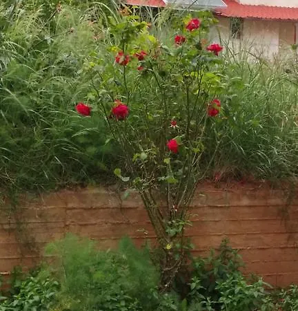 Lägenhet Theodore *