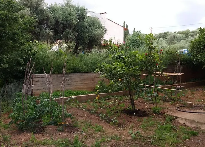 Theodore Καλαμάτα